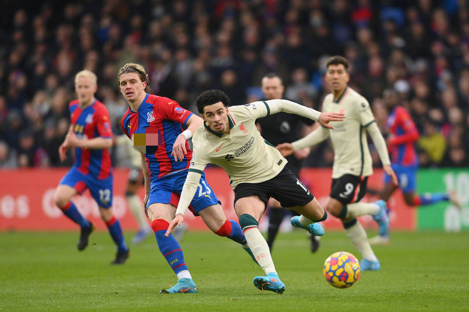 仅令球迷失 仅令球迷失